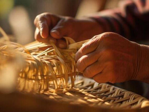 Benefits of Sustainable Bamboo Products